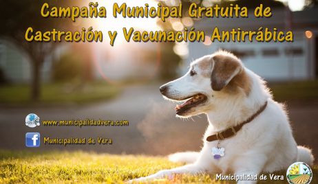 Comienza la 6ª Campaña Municipal de Vacunación Antirrábica y Castraciones