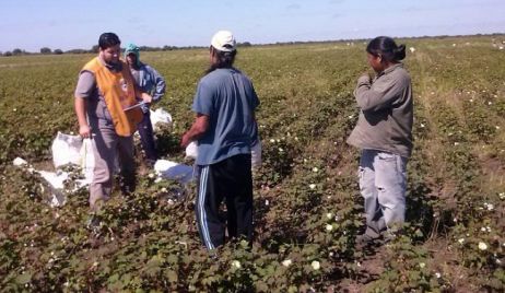 Despidos de empleados en el RENATEA