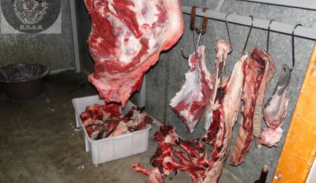 RECONQUISTA: Decomiso de más de 200 Kg de carne vacuna.