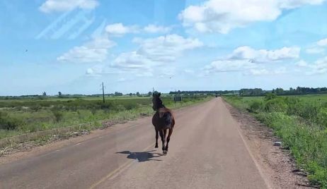 Los Amores: Tres Hermanos graves al chocar con un equino.