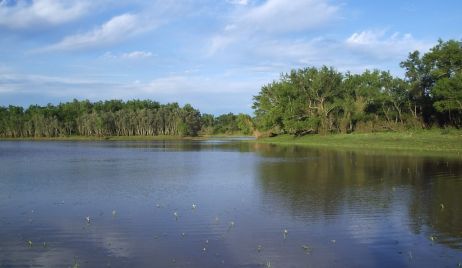 Reclamo por la distribución de cupos de exportación de pescado de río