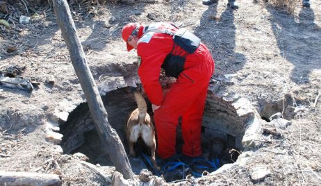 Personal de la Dirección General de Seguridad Rural Los Pumas prestó colaboración con el objeto de  dar con el paradero del menor  Maximiliano Sosa. - 