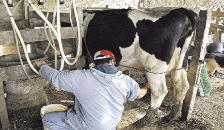 Quinientos tambos menos en la provincia