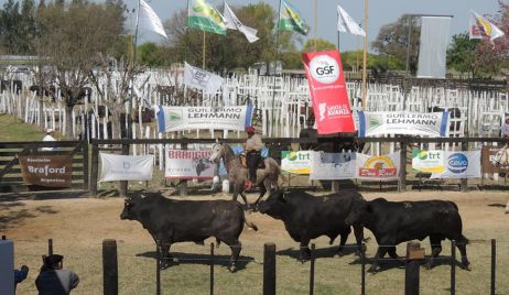 SIN FIESTA EN LA RURAL