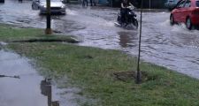 50 mm. el registro de lluvia en nuestra ciudad.