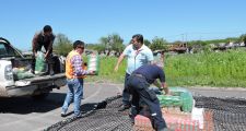 Asistencia conjunta a la localidad de Los Tábanos