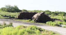 LA LEY DE BOSQUES GENERA PROBLEMAS EN EL NORTE SANTAFESINO