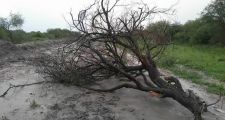 TEMPORAL DE VIENTO Y PIEDRAS AZOTÓ A LA LOCALIDAD DE POZO DE LOS INDIOS Y KM 115.