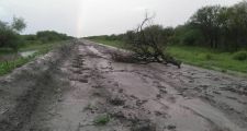 TEMPORAL DE VIENTO Y PIEDRAS AZOTÓ A LA LOCALIDAD DE POZO DE LOS INDIOS Y KM 115.