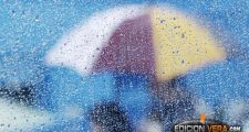 Datos de lluvia y pronóstico extendido