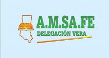Micro Amsafe Vera: Preocupación por el mal estado de los caminos en el norte provincial.