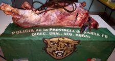 Procedimientos realizados por la Guardia Rural Los Pumas en el ámbito provincial.