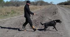 Fortín Olmos: preparan amplio rastrillaje con perros buscadores