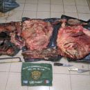 una animal caprino regalado y el otro faenado
