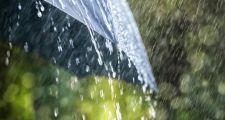 Registro de lluvia y pronóstico extendido