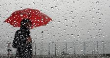 Datos de lluvia y pronóstico extendido-