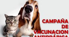 Comienza la campaña de vacunación antirrábica de mascotas