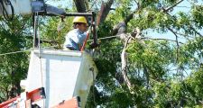 Corte de energía para este sábado 2 de diciembre