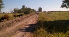 Varios procedimientos de la Guardia Rural 