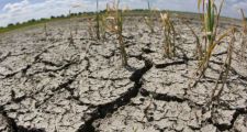 LOS PRODUCTORES EN EMERGENCIA AGROPECUARIA POR SEQUÍA YA PUEDEN TRAMITAR SU CERTIFICADO