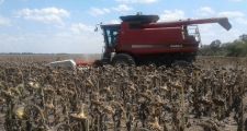 Agroindustria declaró la emergencia agropecuaria por sequía en Chaco, Santa Fe y Córdoba