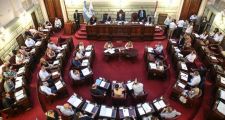 Diputados dio media sanción al proyecto de ley de Educación