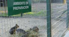 Granja La Esmeralda: Solicitan que el gobierno provincial plan  de re conversión y refuncionalizacion.