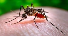 RECOMENDACIONES PARA PREVENIR DENGUE, ZIKA, CHIKUNGUNYA Y FIEBRE AMARILLA