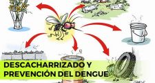 Dengue: En una semana, 42 casos confirmados