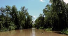 Se trabaja en el manejo sustentable del Sitio Ramsar Jaaukanigás