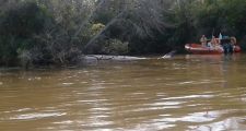 Encuentran muerta una ballena en el Río Paraná