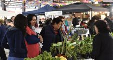 Más de 4500 personas visitaron el Mercado Regional de Mi Tierra Reconquista