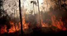 Bomberos Voluntarios de Santa Fe viajan a Brasil para combatir los incendios