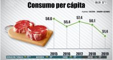 Se desplomó el consumo de carne vacuna en 2019: cayó 9,4% y es uno de los más bajos de la década