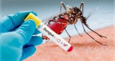 Reconquista: Primer caso de dengue