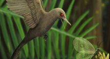 Hallan restos de un dinosaurio tipo colibrí que podría ser el más diminuto de la historia