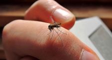 La provincia describió la situación actual en relación a dengue