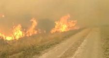 Desesperante situación por incendio forestal en Los Amores.