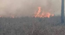 Desesperante situación por incendio forestal en Los Amores.