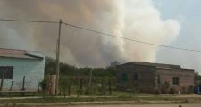 Desesperante situación por incendio forestal en Los Amores.