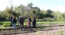 Diversas actividades desarrolladas por el municipio verense