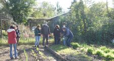 Realizan el seguimiento de las huertas junto a estudiantes del I.S.P.I. N° 4007