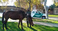 Últimos procedimientos de la Guardia Rural Los Pumas