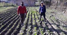 Realizan el seguimiento de las huertas junto a estudiantes del I.S.P.I. N° 4007