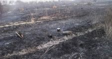 EL GUANAGAN:Incendio con daños en pastura de alimento para ganado