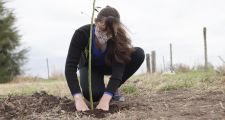 LA PROVINCIA AVANZA EN ACCIONES PARA INCENTIVAR LA FORESTACIÓN EN LAS LOCALIDADES SANTAFESINAS