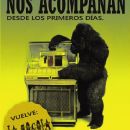 “La Rocola”, pasos jóvenes en el dial.