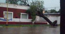 Lo que dejó la fuerte tormenta del día de ayer