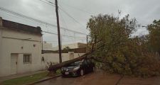 Lo que dejó la fuerte tormenta del día de ayer