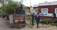 Diferentes cuadrillas de personal municipal trabajan en la ciudad.